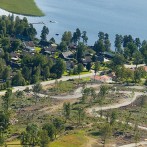 Buxbomens område
